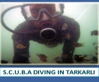 SCUBA Diving in Tarkarli