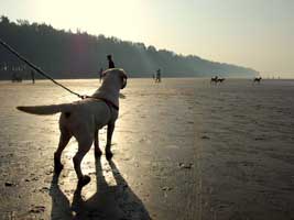 Nagaon Beach