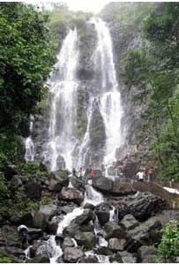 Amboli