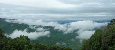 Amboli