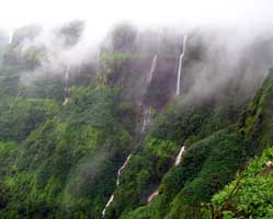 amboli