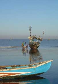 Dahanu Beach