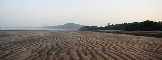 Diveagar Beach