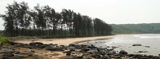 Hedvi Beach