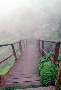 Kalsubai Forts