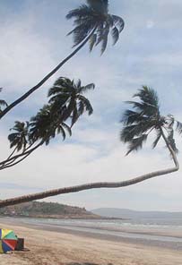 Murud