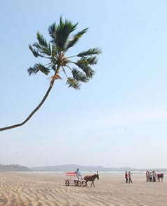 Murud Beach