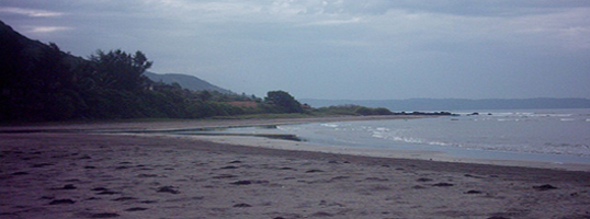 Harnai Beach