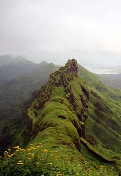 Rajgad Forts 