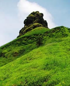 Rajgad Forts 