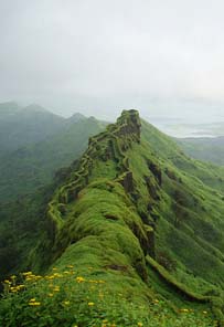 Rajgad Forts