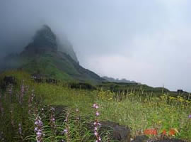  Rajgad