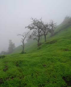 Rajmachi Forts