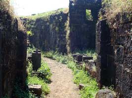 Rajmachi Forts