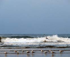 Velneshwar Beach