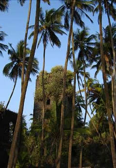 Revdanda fort - Main Tower