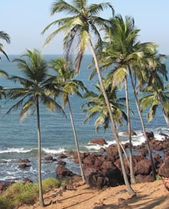 Malvan