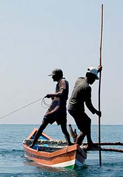 Tarkarli Beach