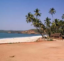 Velneshwar Beaches