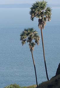 View from Korlai Fort