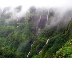 Amboli