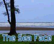 The Sea Face 